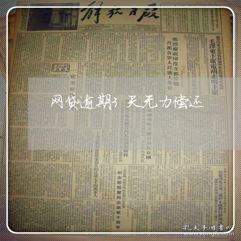 网贷逾期3天无力偿还