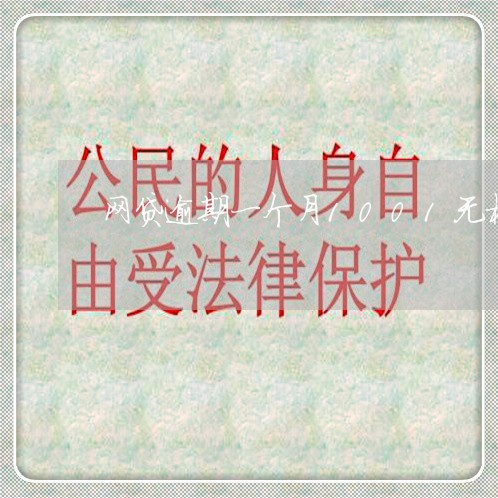 网贷逾期一个月1001无标题