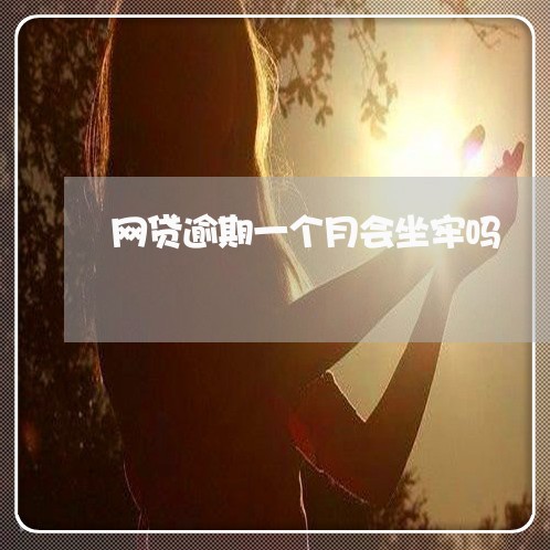 网贷逾期一个月会坐牢吗/2023020605791