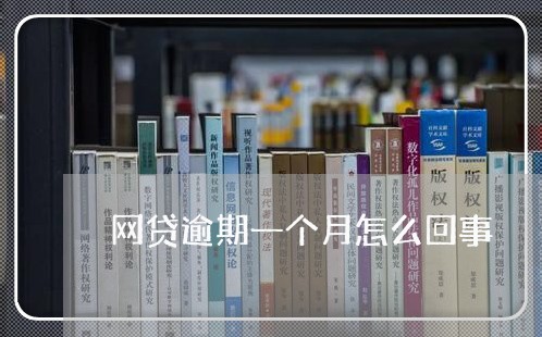 网贷逾期一个月怎么回事 网贷逾期一个月怎么回事