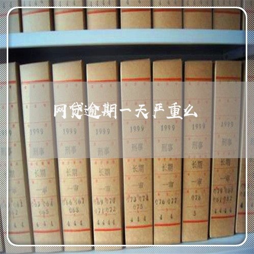 网贷逾期一天严重么