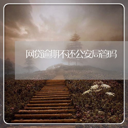 网贷逾期不还公安局管吗