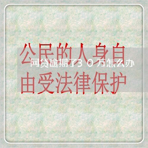 网贷逾期了30万怎么办