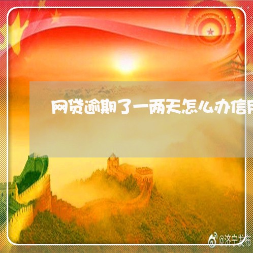 网贷逾期了一两天怎么办信用卡/2023042221726