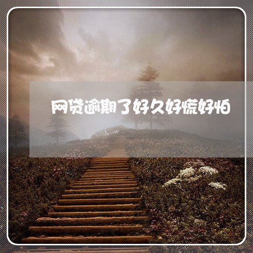 网贷逾期了好久好慌好怕/2023120548171