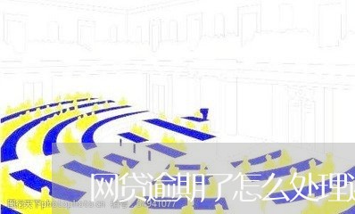 网贷逾期了怎么处理还本金