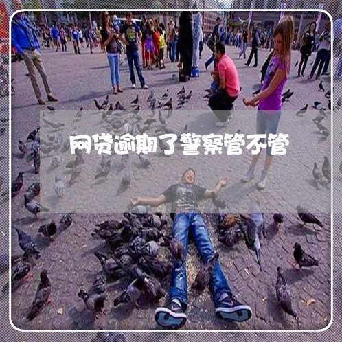 网贷逾期了警察管不管