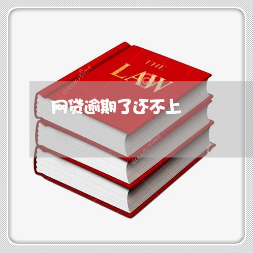 网贷逾期了还不上/2023030244037
