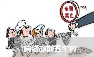 网贷逾期五个月/2023013048370