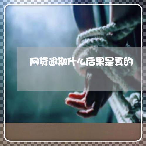 网贷逾期什么后果是真的/2023112451393