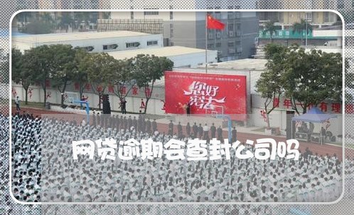 网贷逾期会查封公司吗/2023112438368