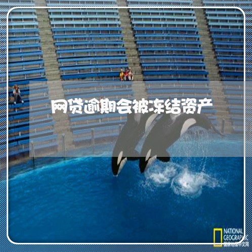 网贷逾期会被冻结资产