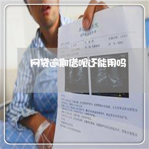 网贷逾期借呗还能用吗/2023022818261
