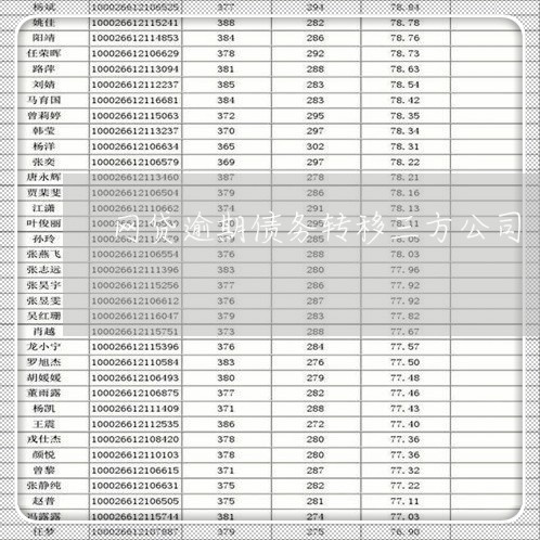 网贷逾期债务转移三方公司/2023120492736