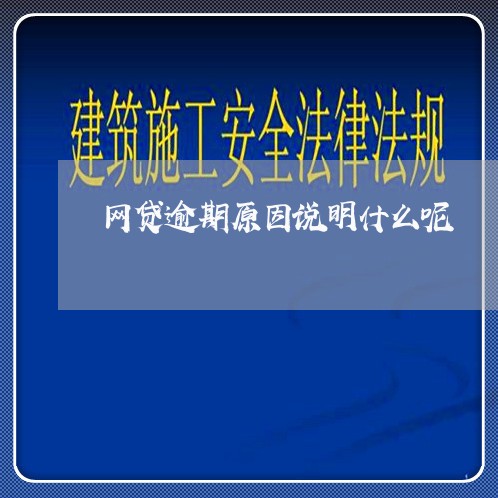 网贷逾期原因说明什么呢/2023112426158