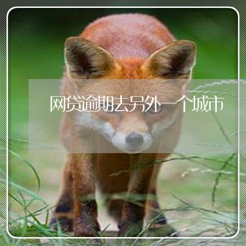 网贷逾期去另外一个城市 网贷逾期去另外一个城市