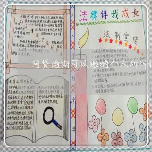 网贷逾期可以缴纳个人所得税 网贷逾期可以缴纳个人所得税