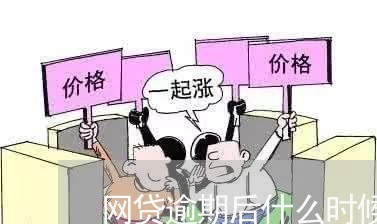 网贷逾期后什么时候还钱好/2023120404927