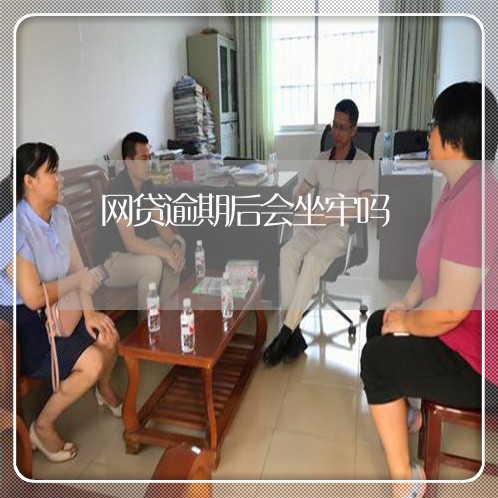 网贷逾期后会坐牢吗/2023022806272