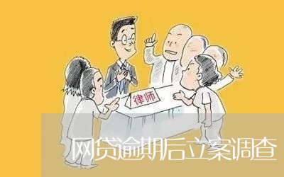 网贷逾期后立案调查/2023080105847