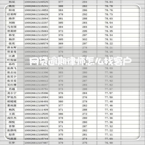 网贷逾期律师怎么找客户/2023112405958