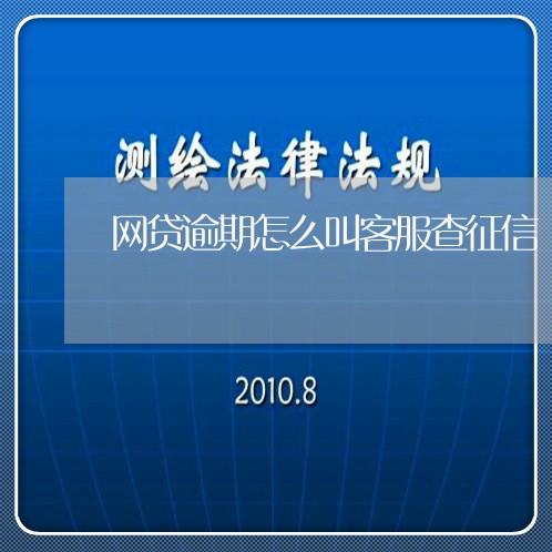 网贷逾期怎么叫客服查征信/2023120442617