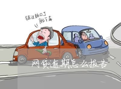 网贷逾期怎么报告 网贷逾期怎么报告
