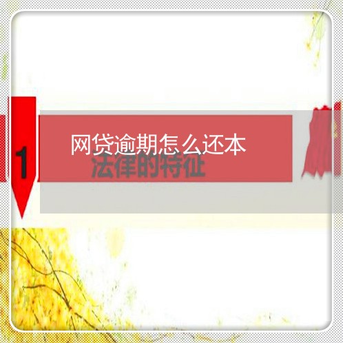 网贷逾期怎么还本