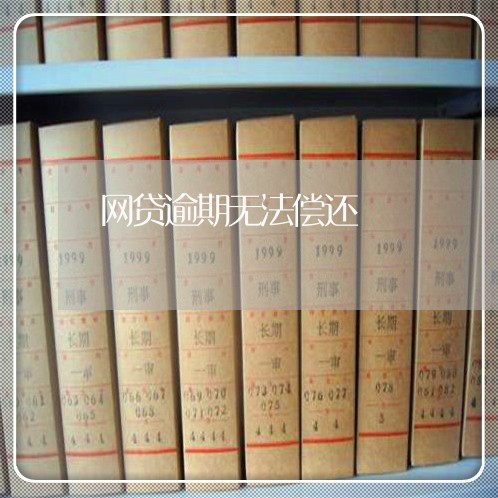 网贷逾期无法偿还/2023012120713 网贷逾期无法偿还/2023012120713