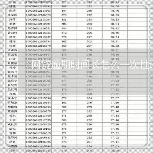 网贷逾期时间长怎么一次性还清/2023111812929