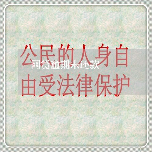 网贷逾期未还款