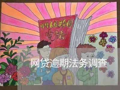 网贷逾期法务调查