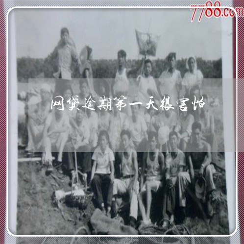 网贷逾期第一天很害怕