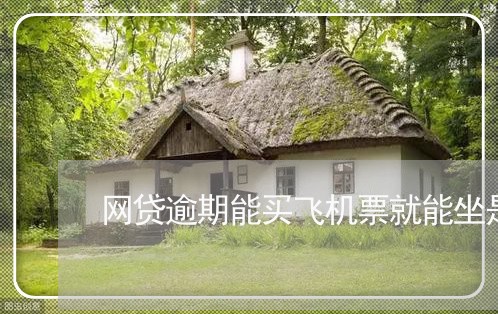 网贷逾期能买飞机票就能坐是吗