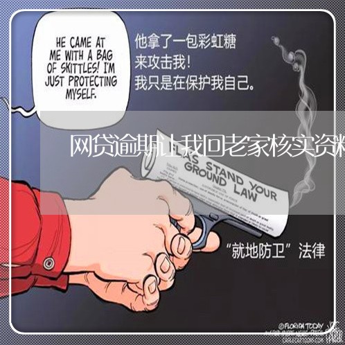 网贷逾期让我回老家核实资料/2023120539594