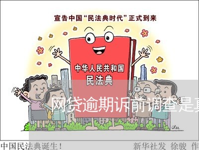 网贷逾期诉前调查是真是假 网贷逾期诉前调查是真是假