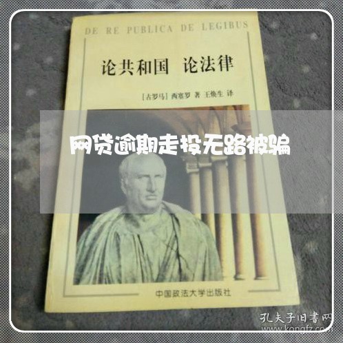 网贷逾期走投无路被骗/2023073156921