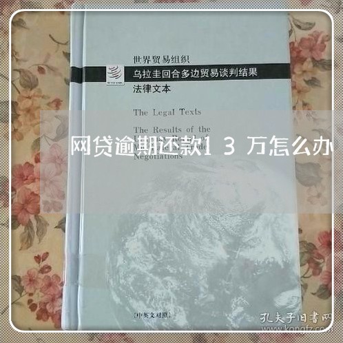 网贷逾期还款13万怎么办/2023120538591