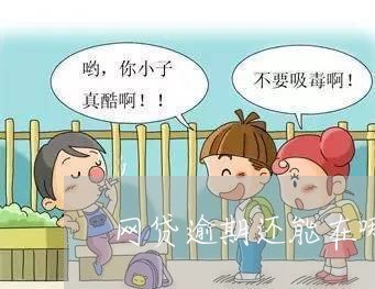 网贷逾期还能在哪里贷款呢/2023120405918