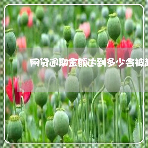 网贷逾期金额达到多少会被起诉 网贷逾期金额达到多少会被起诉