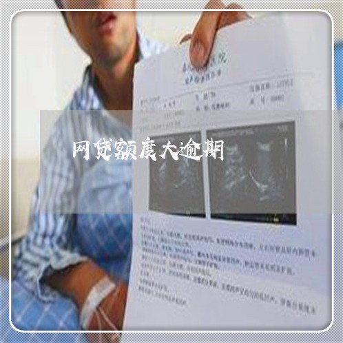 网贷额度大逾期