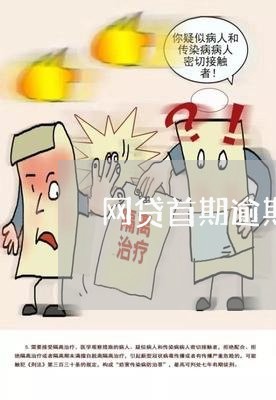 网贷首期逾期被说是骗贷 网贷首期逾期被说是骗贷