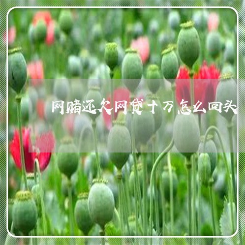 网赌还欠网贷十万怎么回头 网赌还欠网贷十万怎么回头