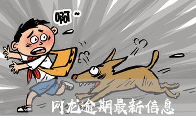 网龙逾期最新信息 网龙逾期最新信息
