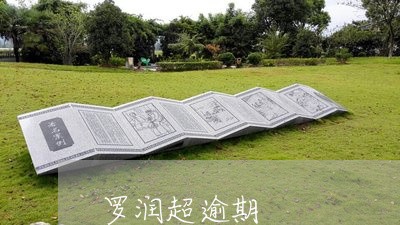 罗润超逾期