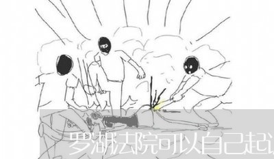 罗湖法院可以自己起诉吗 罗湖法院可以自己起诉吗