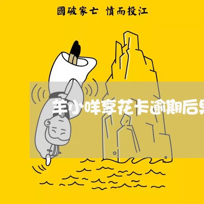 羊小咩享花卡逾期后果严重 羊小咩享花卡逾期后果严重