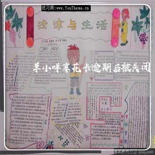 羊小咩享花卡逾期后被关闭 羊小咩享花卡逾期后被关闭