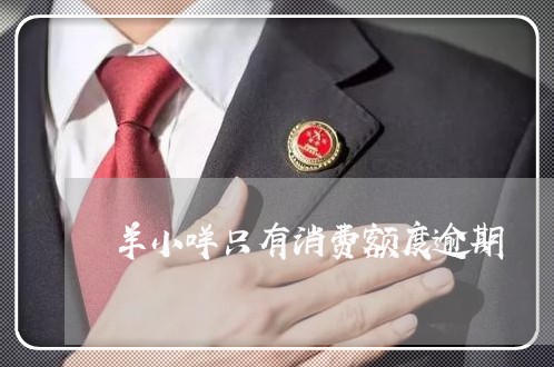 羊小咩只有消费额度逾期/2023030117863