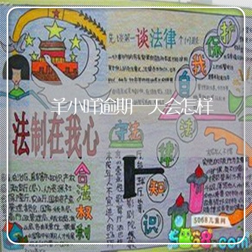羊小咩逾期一天会怎样 羊小咩逾期一天会怎样